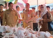 Pastikan Stok Sembako Aman Jelang Idul Adha, Wabup Gerry Sidak di Pasar Atas Sarolangun