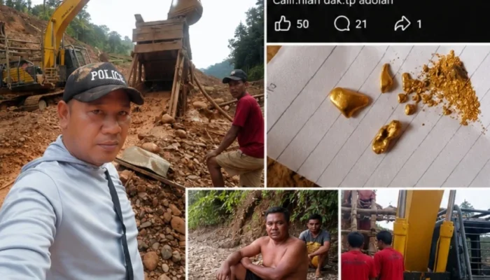 Viral! Dugaan PETI Dipamerkan Terang-Terangan di Facebook, APH Merangin Kemana??