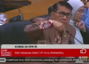 Satu Kabel Putus di Bungo Sebabkan Gelap Seluruh Sumatera: Jambi Kaya Batu Bara, Tapi Belum Berdaulat Energi