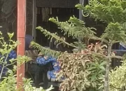 ASN Sarolangun Diduga Berada di Warkop Saat Jam Kerja, BKPSDM: “Konfirmasi Atasannya”