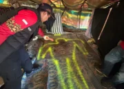 Pria Asal Mandiangin Ditemukan Meninggal di Pondok Dompeng, Polisi Masih Selidiki Penyebab Kematian