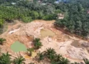 Empat Orang Diduga Pelaku PETI di Tanah Asset Pemkab Ditangkap
