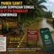 Diduga Panen Sawit di Kawasan Sempadan Sungai, Manajer PTPN Bungkam Saat Dikonfirmasi