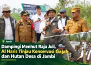 ‎Dampingi Menhut Raja Juli, Al Haris Tinjau Konservasi Gajah dan Hutan Desa di Jambi