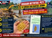 Dugaan Aktivitas PETI di Sungai Duo Rantau Jering, Informasi Hasil Emas Capai 9 Ons per Bulan