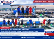 20 Ribu Bibit Ikan Nila Dilepas di Karamba Rutan Maninjau