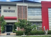 ‎Dinas Pertanian Agam Diminta Transparan, Warga Sungai Batang Soroti Rehab Sawah Rp28,3 Miliar