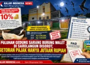 Puluhan Gedung Sarang Burung Walet di Sarolangun Disorot, Setoran Pajak Hanya Jutaan Rupiah